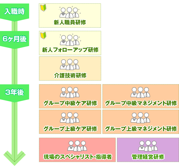 新卒・未経験者の研修ステップ